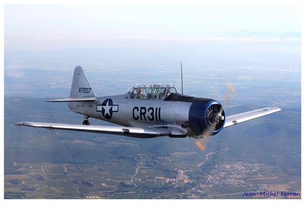 T6